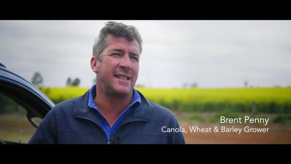 Impact Fertilisers